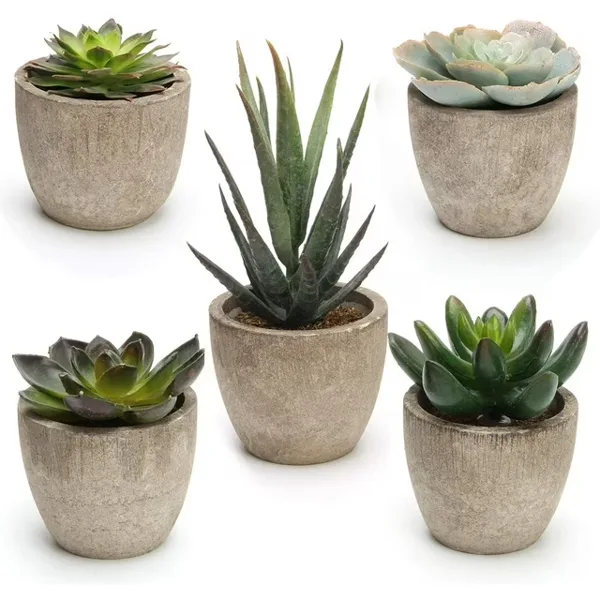 Artificial Succulent Plant in Beige