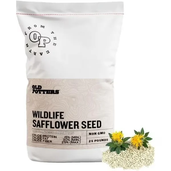 High Protein Bird Food